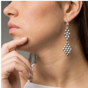 SG Liquid Metal by Sergio Gurierrez - Earrings